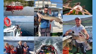 Photo of Bantry Bay Charters