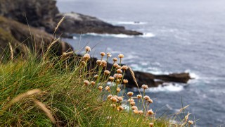 West Cork coast near Ardfield & Rathbarry