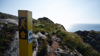 Sheeps head walking sign