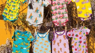 Photo of Grasshopper