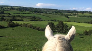 Kingston&rsquo;s Riding School