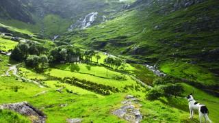 Beara Looped Walks