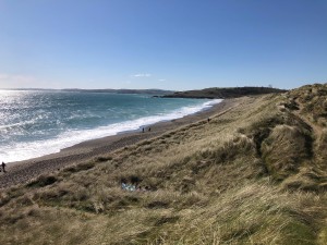 Castlefreke dunes and Long Strand