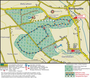 Garretstown woods trial map